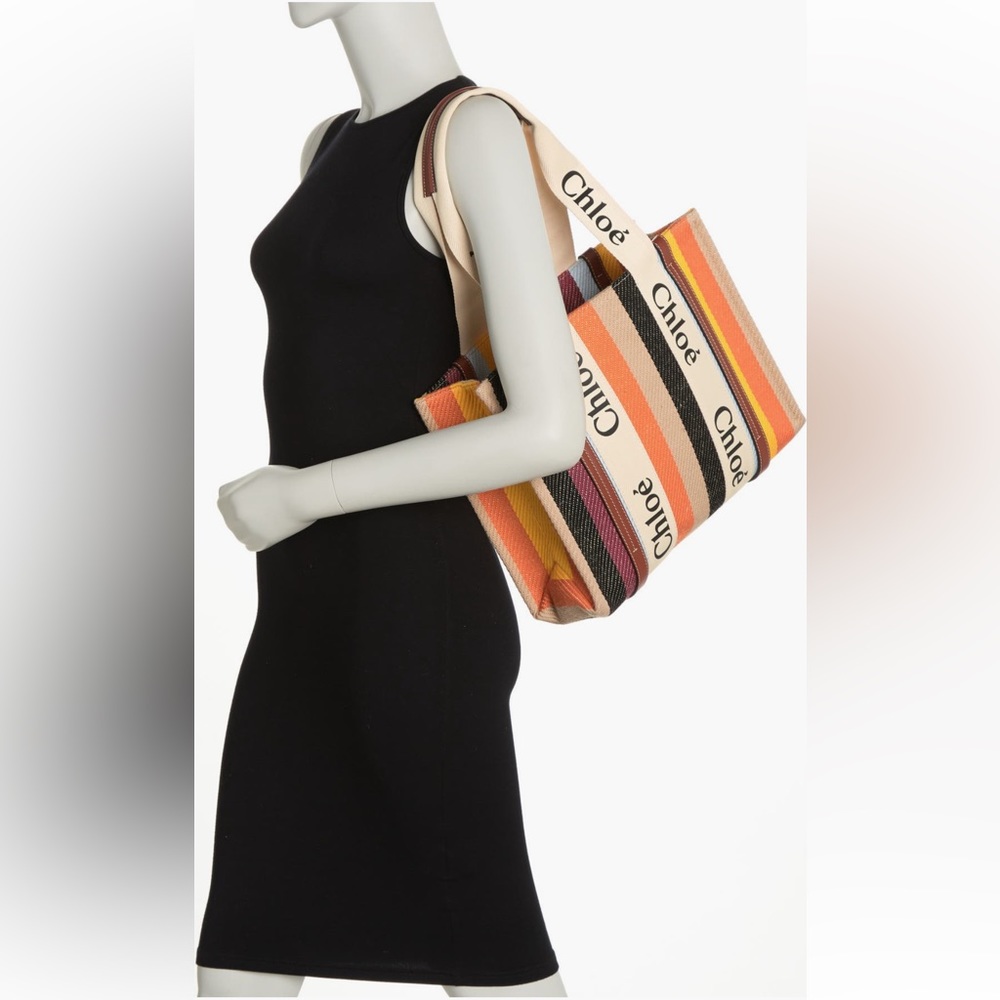 Chloe Multicolor Striped Tote Bag
